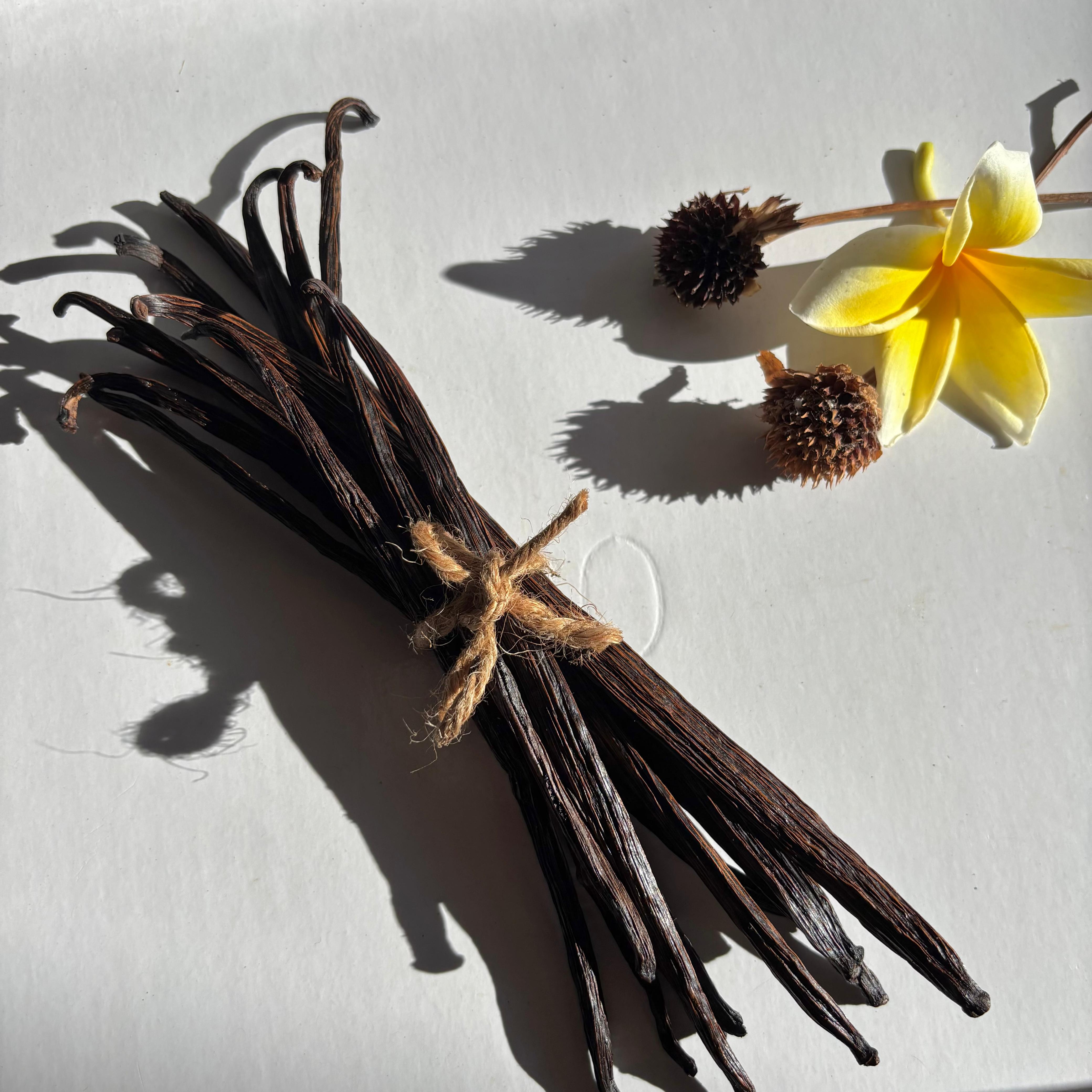 Extract Grade Vanilla Beans