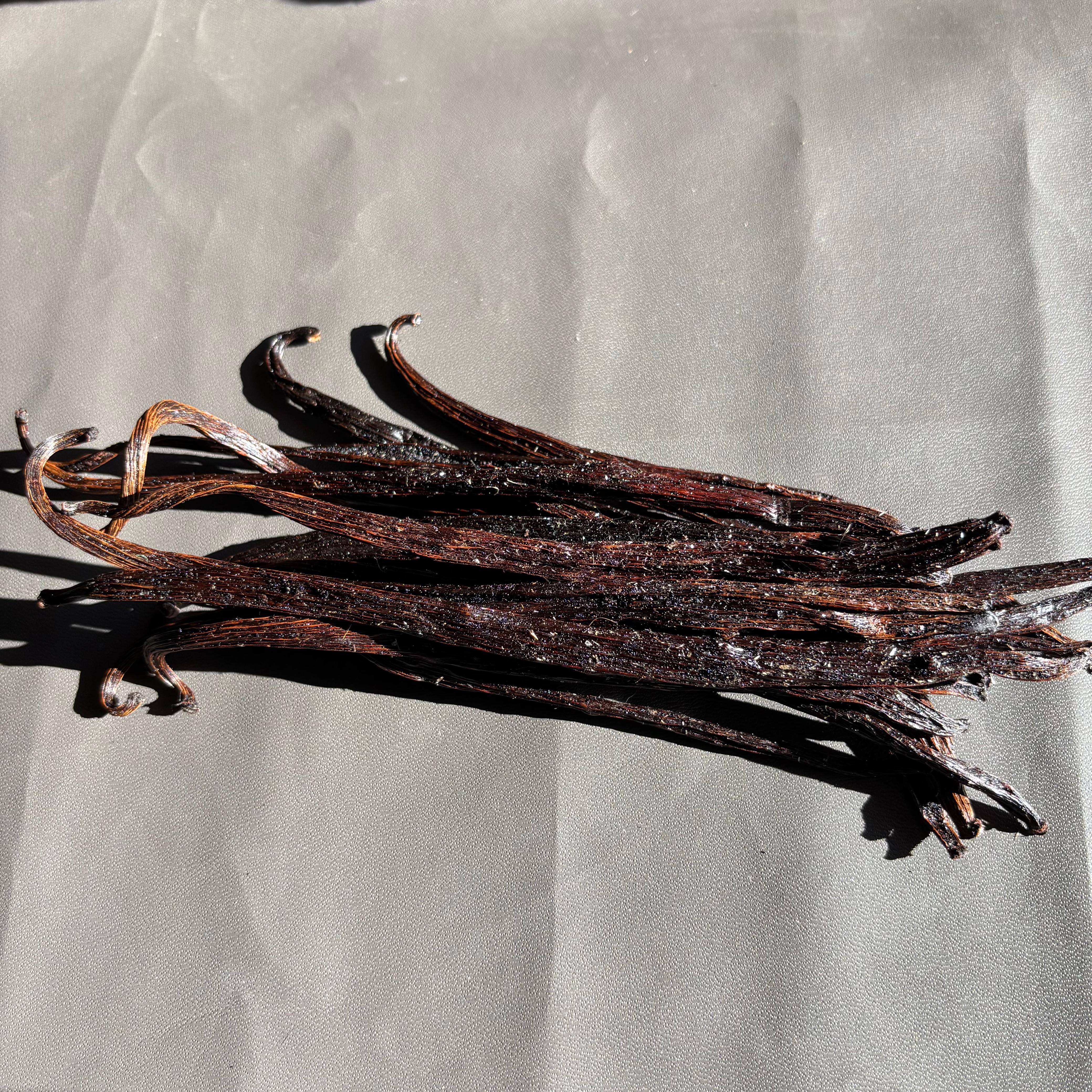 Frosted crystallized Planifolia vanilla beans from Indonesia