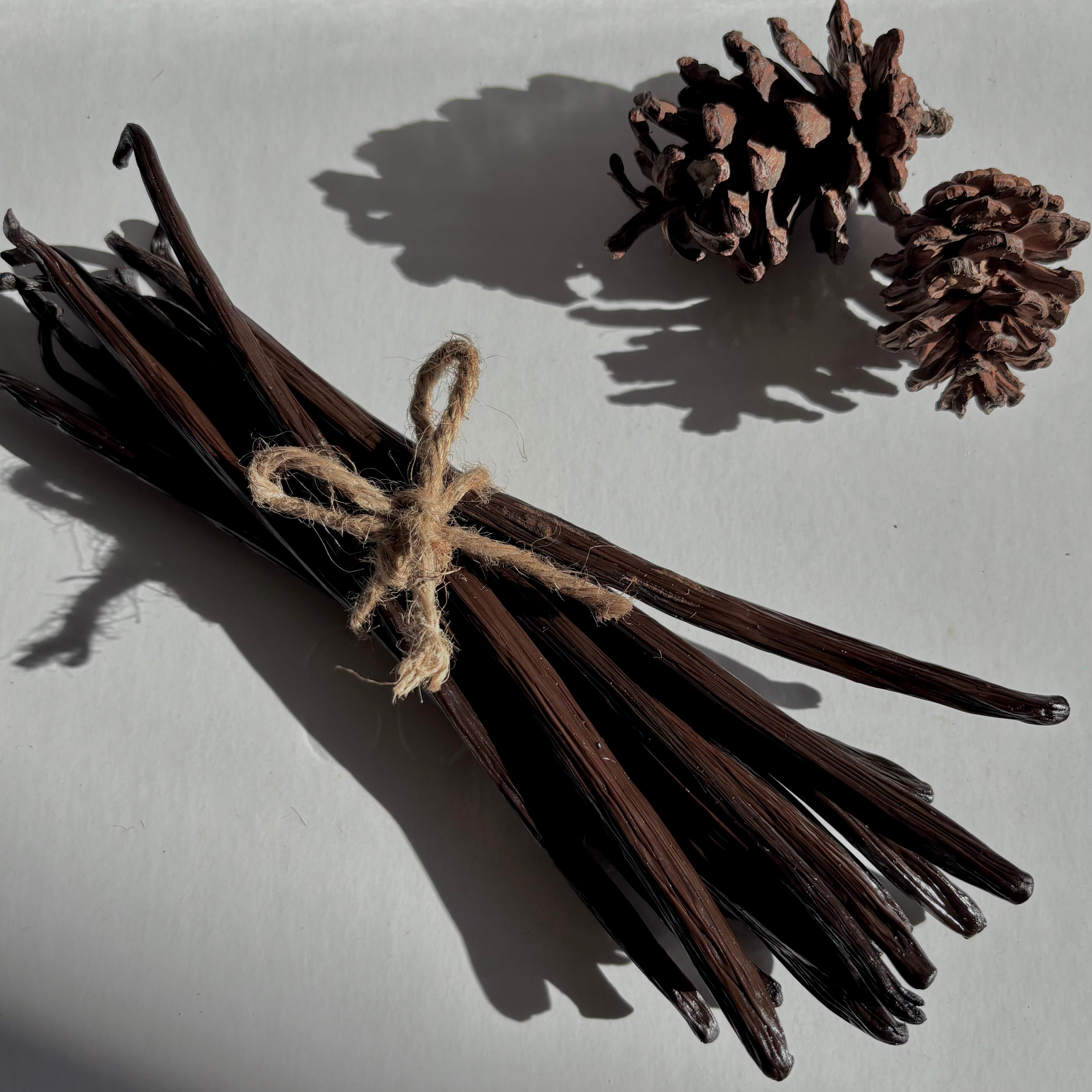 Grade A 18-19cm Planifolia vanilla beans from Indonesia